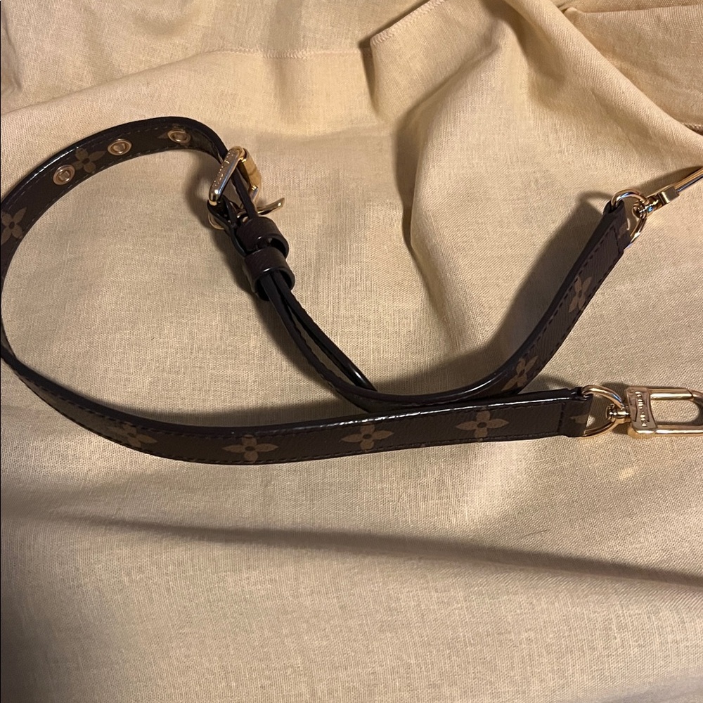 Louis Vuitton Brown and Red Shoulder Bag with Monogram Canvas - Picture 12 of 13